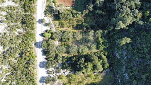 Land near the sea (in the bay of Velika Prapratna/Pelješac)