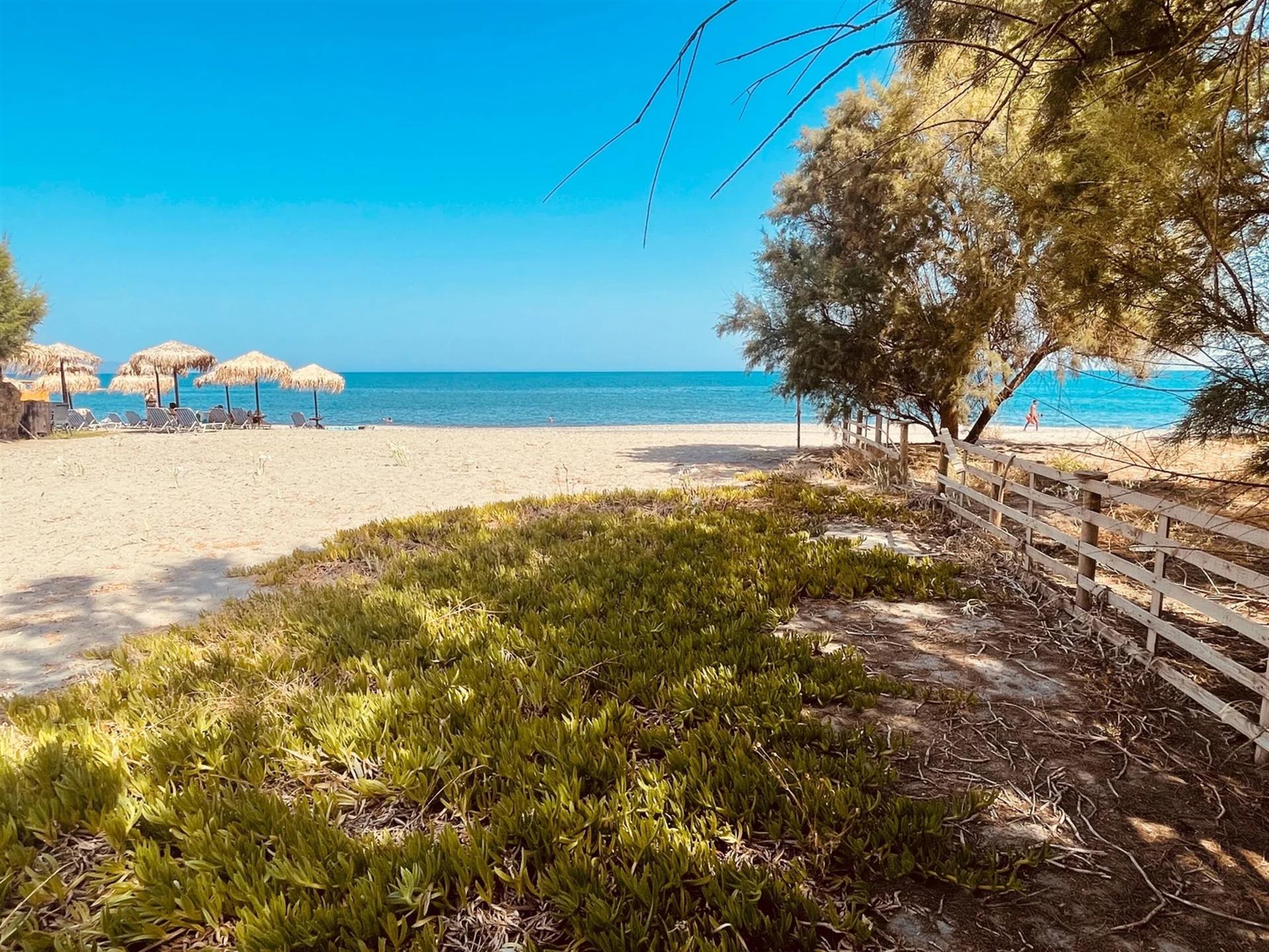 Beach complex of four villas with direct beach access
