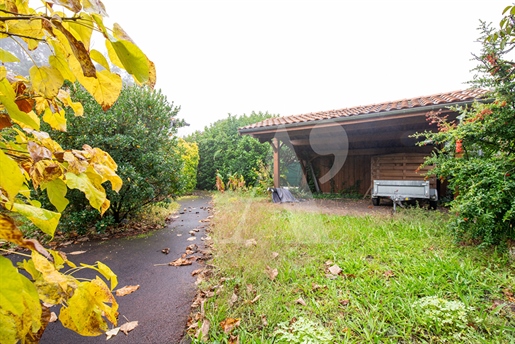 Compra: Casa (33700)