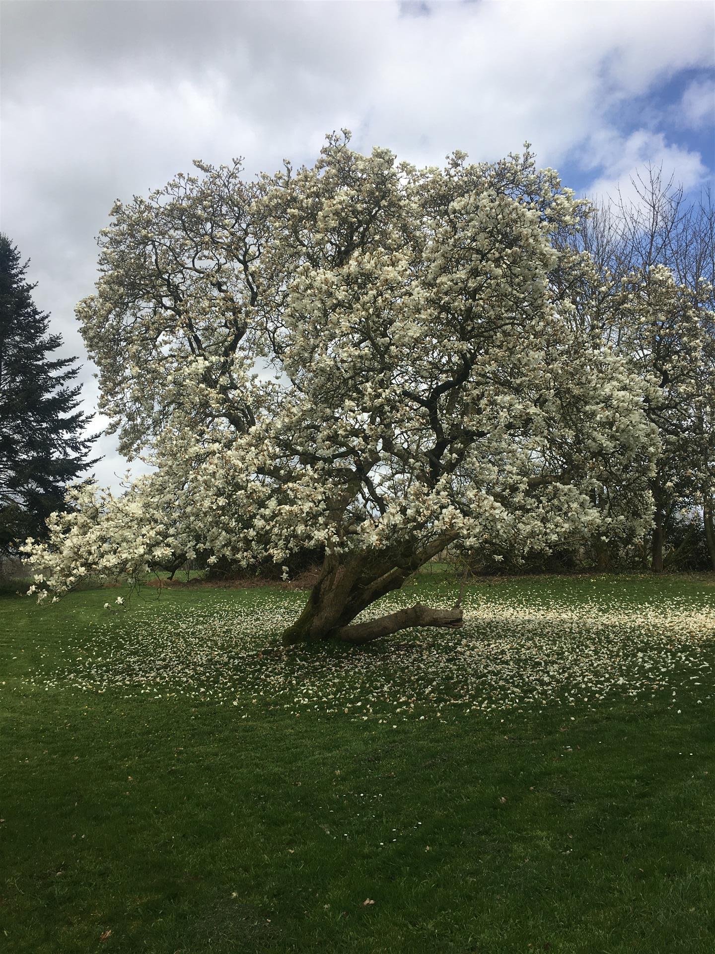 Herrgård i Normandie 
