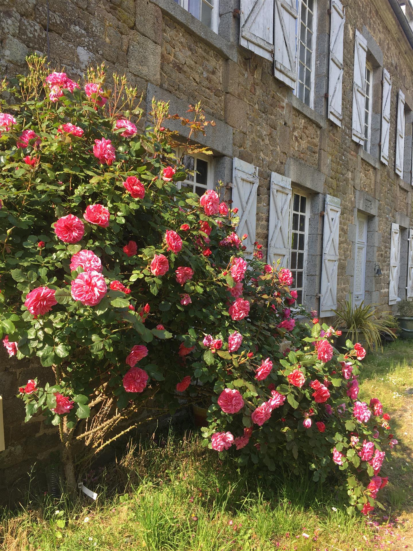 Herrgård i Normandie 