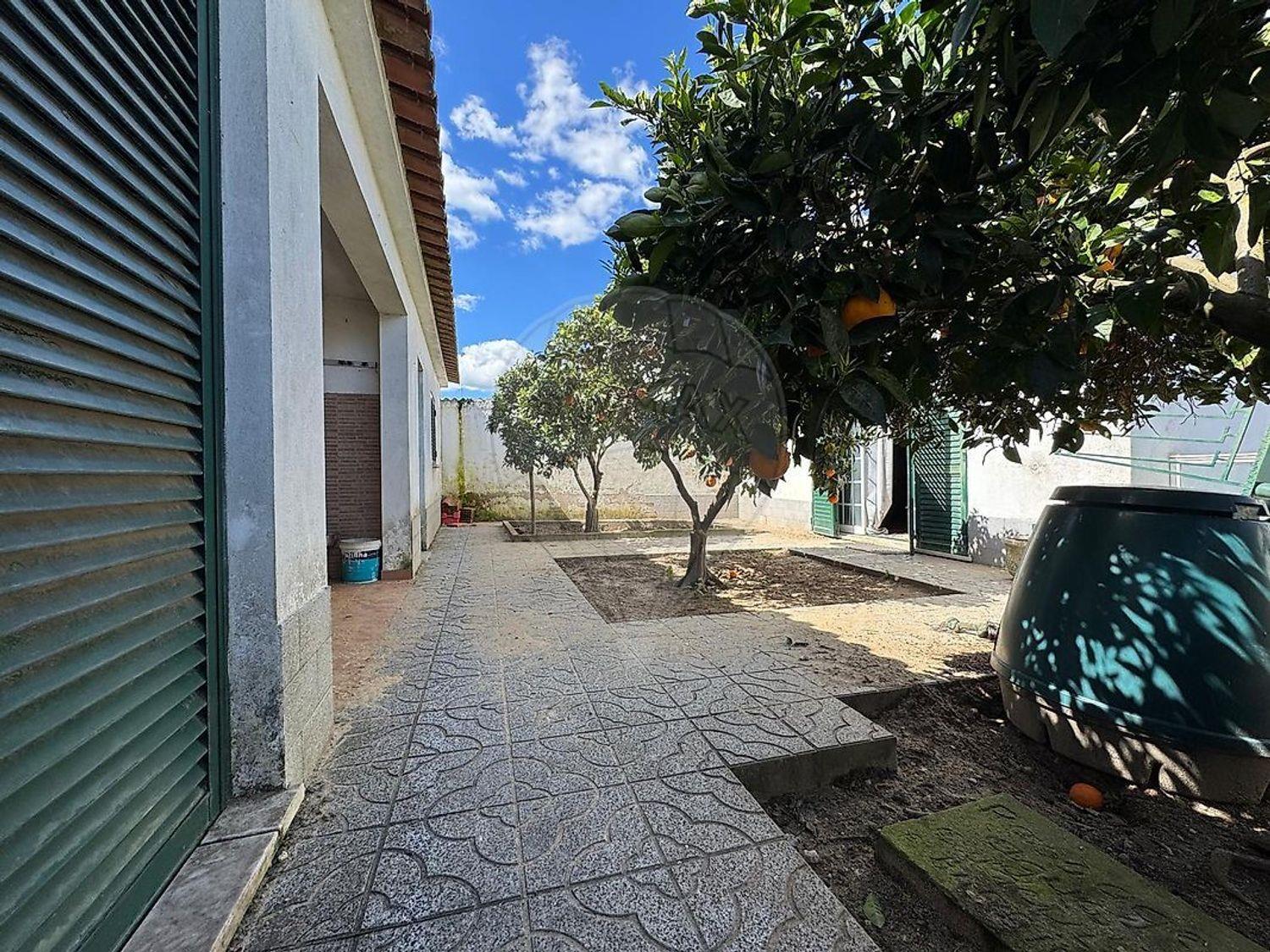 Purchase: House (2100)
