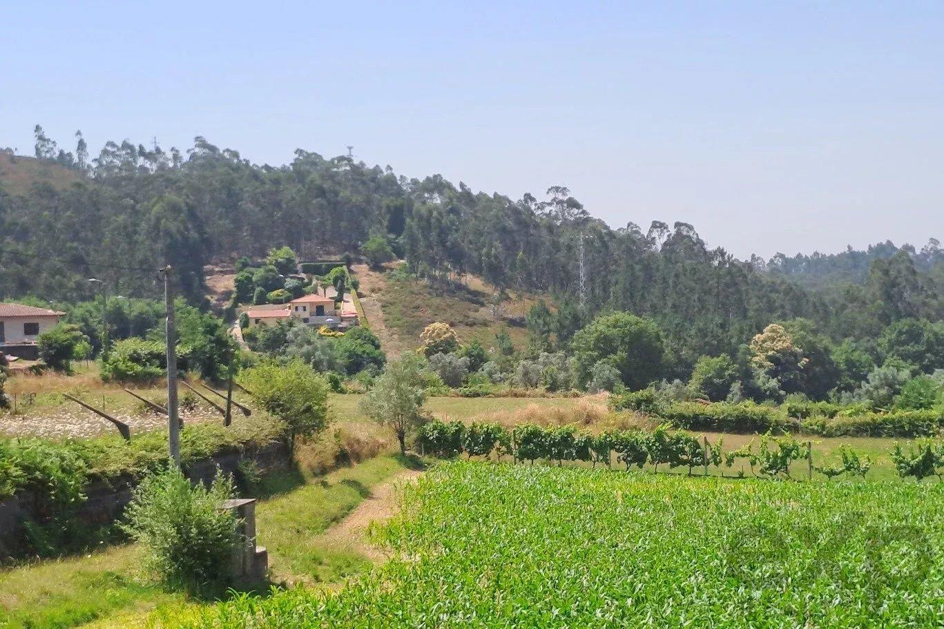 Land with an area of 3,352 m2, located on Avenida José Joaquim Ferreira, Melres