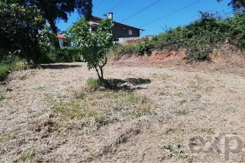Rustic Land in Medas, A Tranquil Refuge near the River Douro