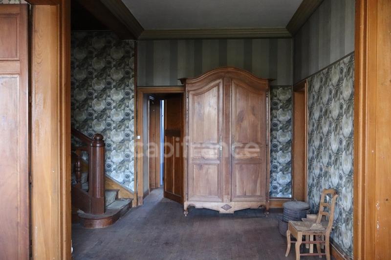 Manor for Sale: 12 Rooms, 334 m² with Tree-Lined Park - Bors (16)