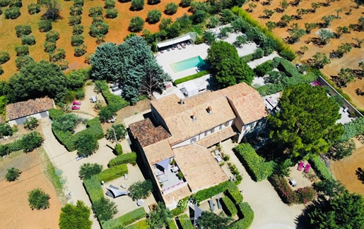 Hidden gem in Provence with stunning view and olive grove