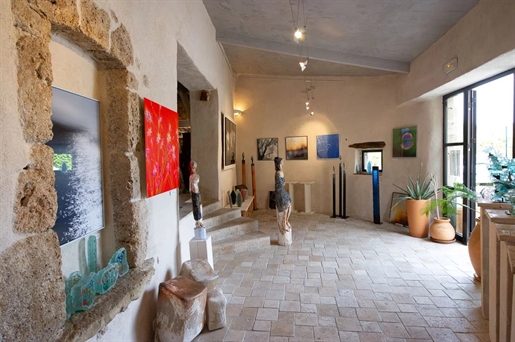 Maison de Village stylée, galerie d'art, appartement loft, cave (à vin)