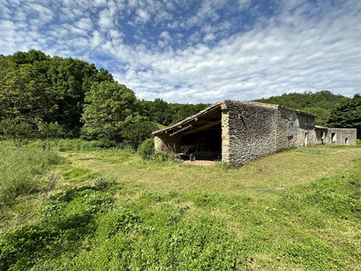 Zu renovierendes Bauernhaus auf ca. 1,4 ha