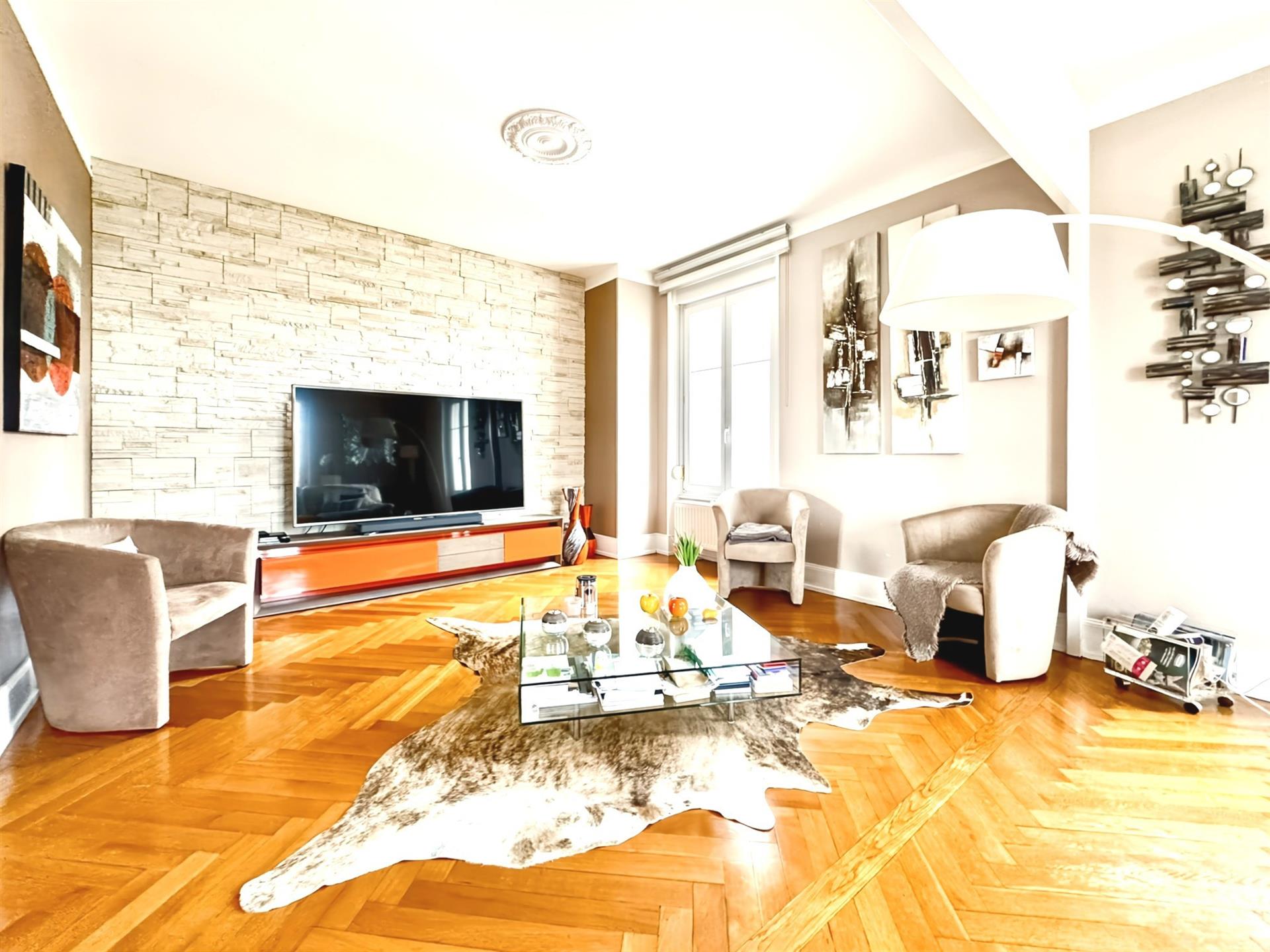 Apartment 143M2 in a mansion Pfastatt