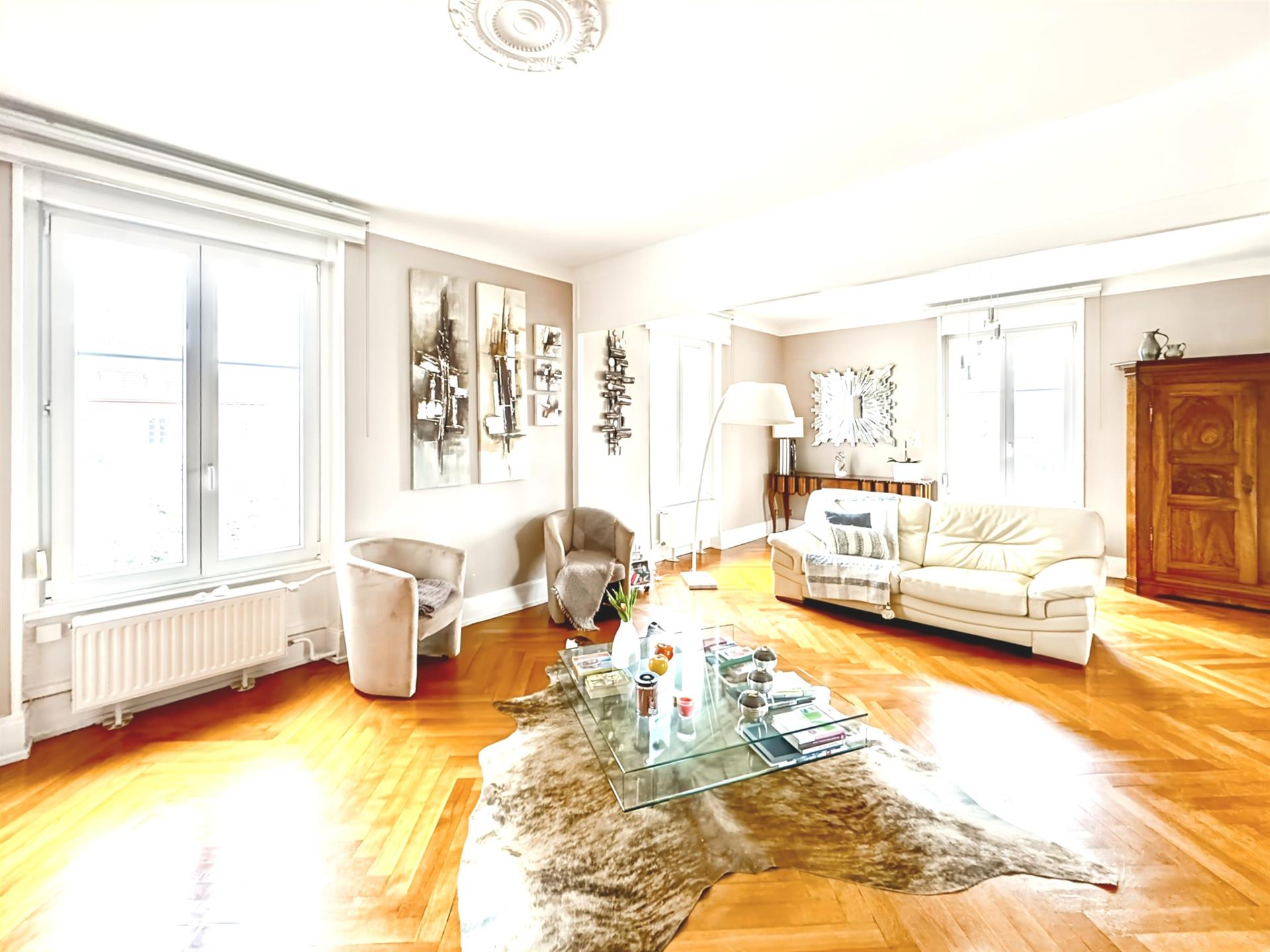 Apartment 143M2 in a mansion Pfastatt
