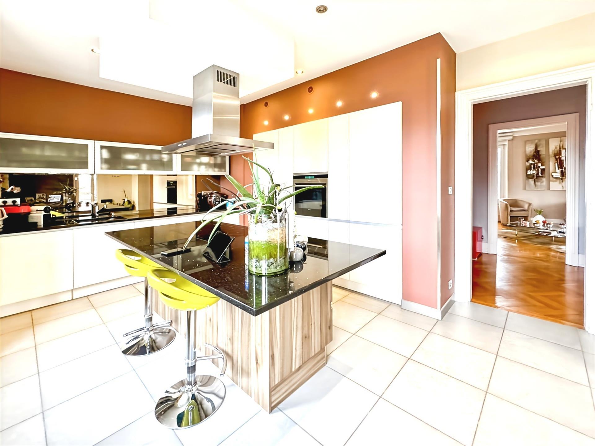 Apartment 143M2 in a mansion Pfastatt
