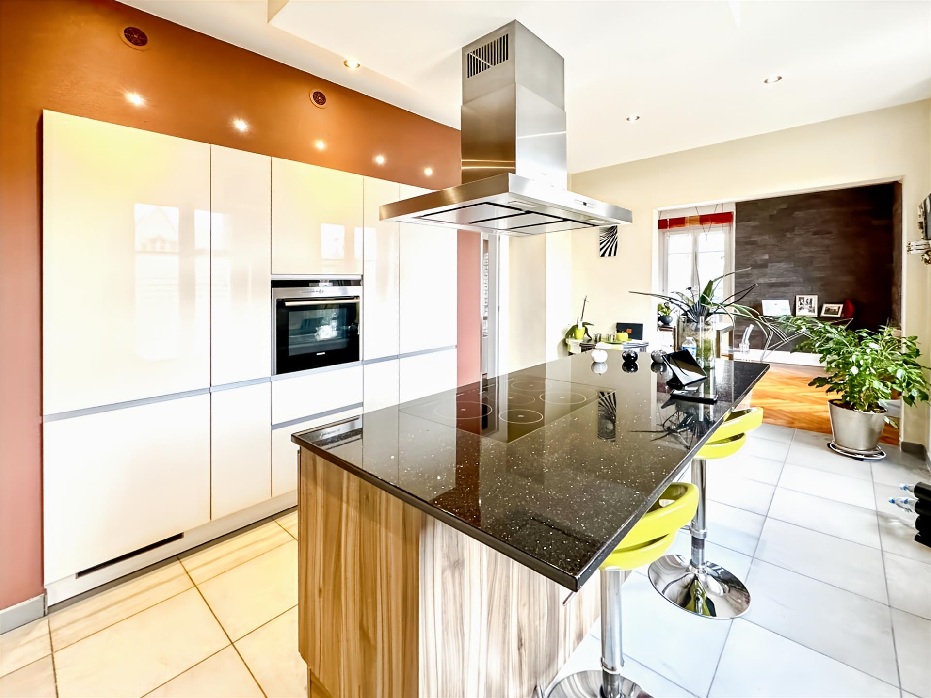 Apartment 143M2 in a mansion Pfastatt