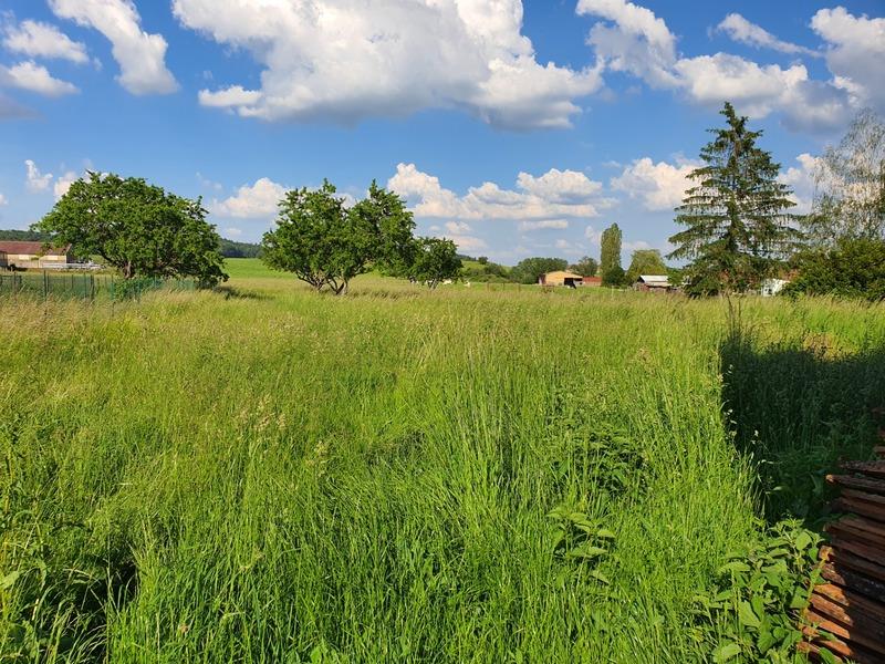 Dpt Vosges (88), à vendre proche Contrexeville - Ferme Lorraine à réhabiliter / Terrain env 4000 m2
