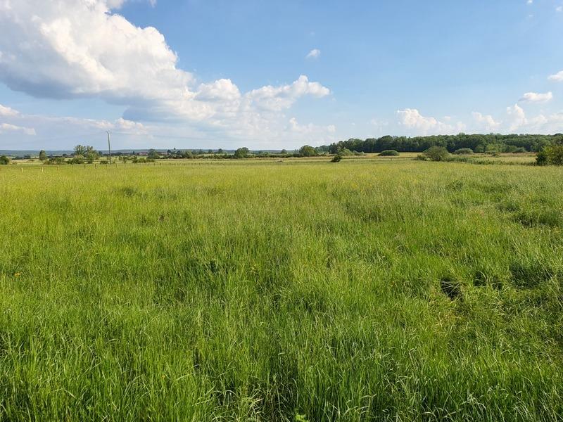 Dpt Vosges (88), à vendre proche Contrexeville - Ferme Lorraine à réhabiliter / Terrain env 4000 m2