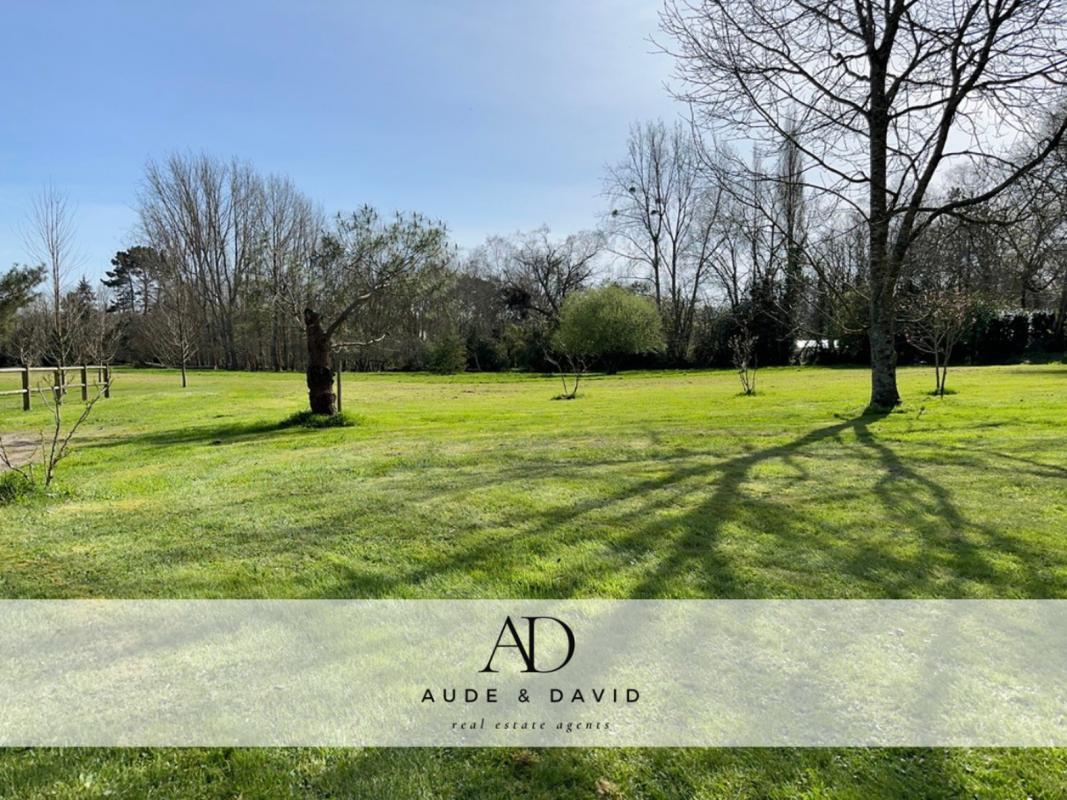 Purchase: Land (29950)