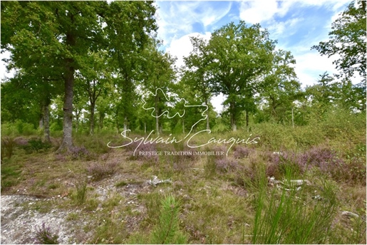 80 hectare hunting and recreational property