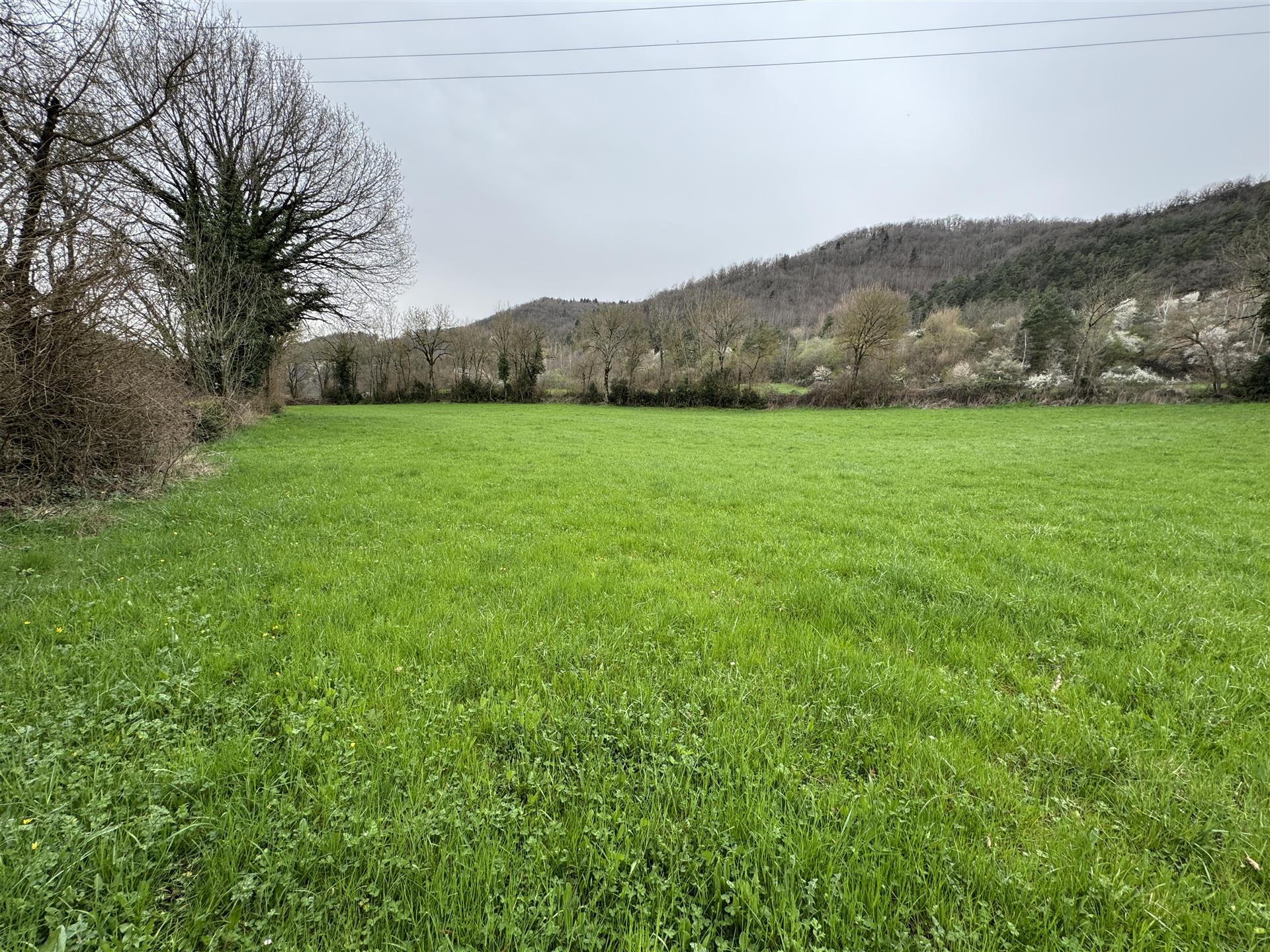 Purchase: Land (48340)