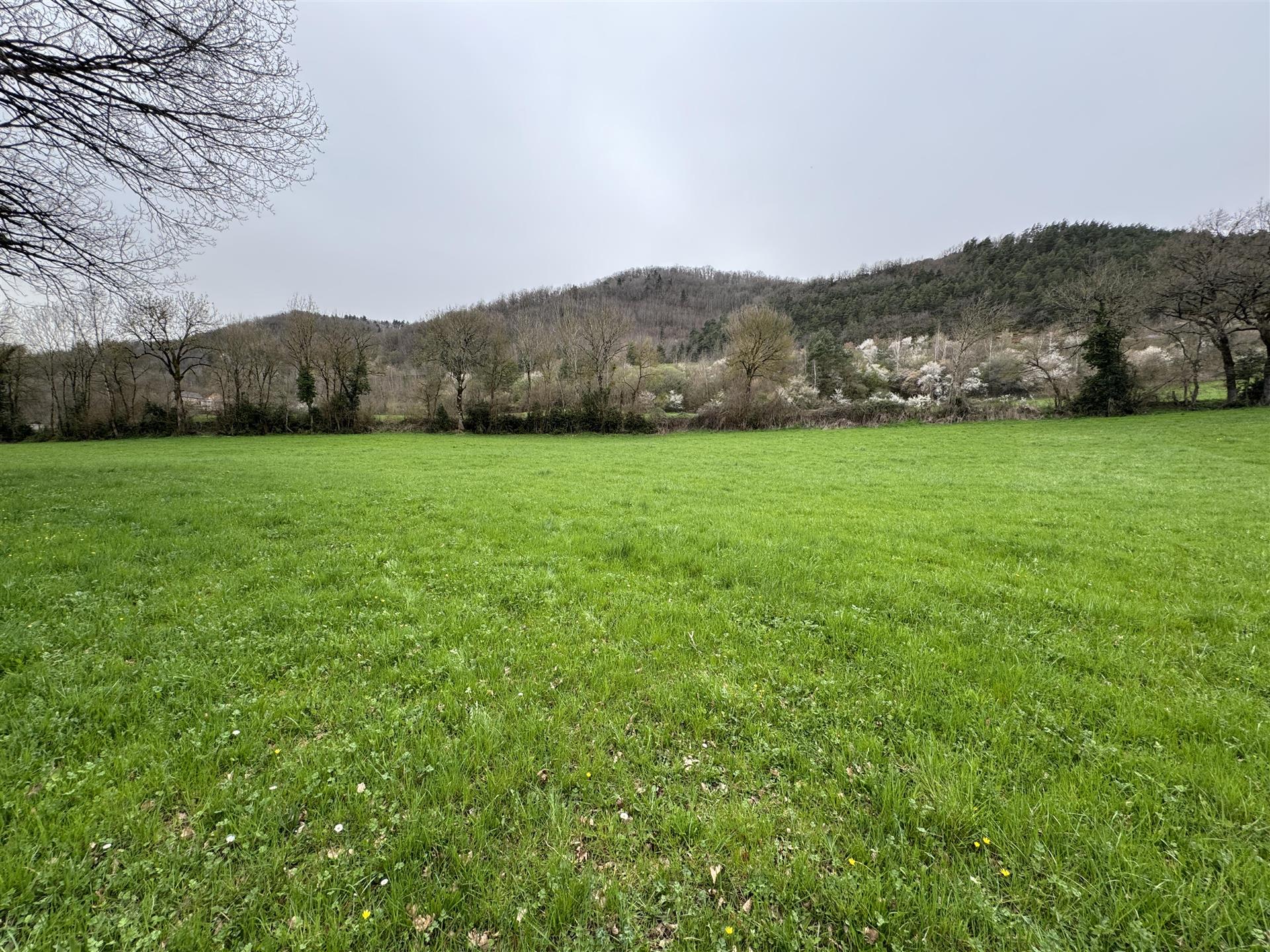 Purchase: Land (48340)