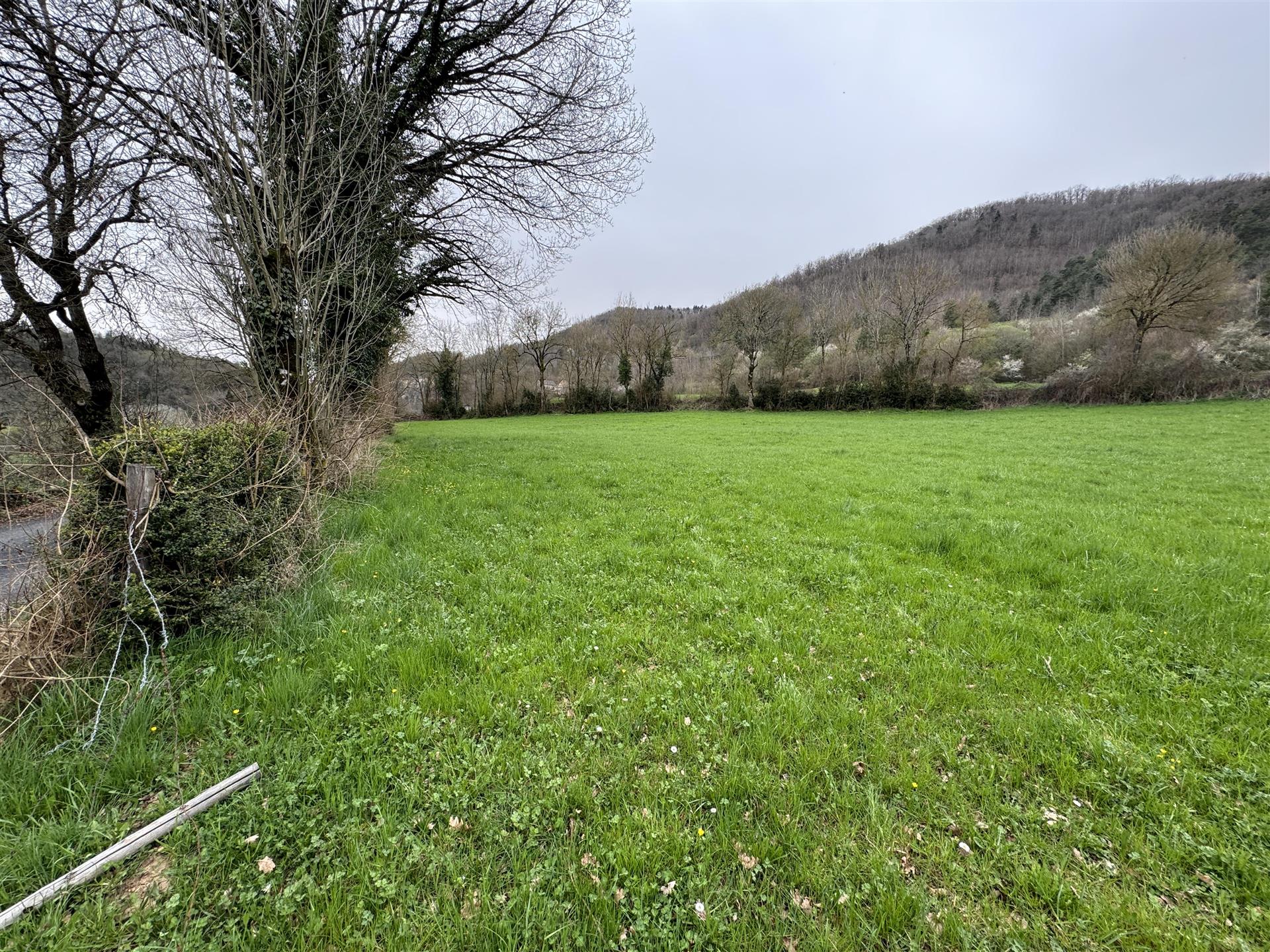 Purchase: Land (48340)