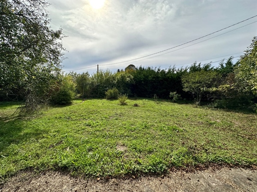Advert picture