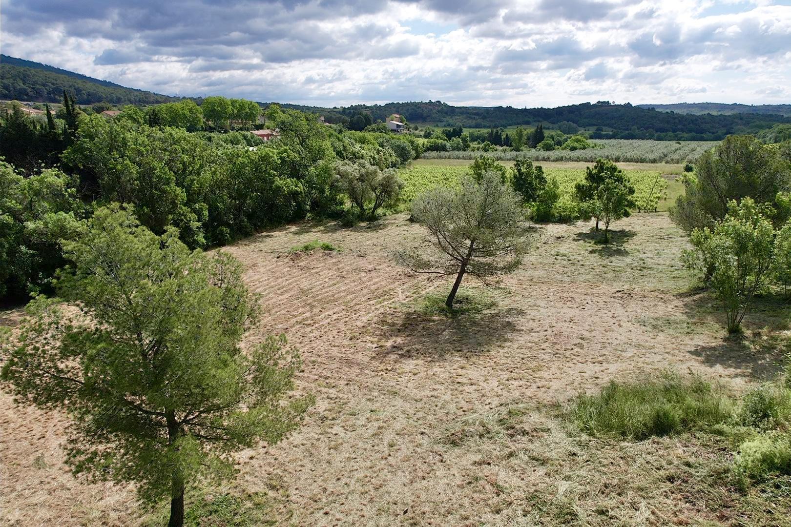 Purchase: Land (34360)