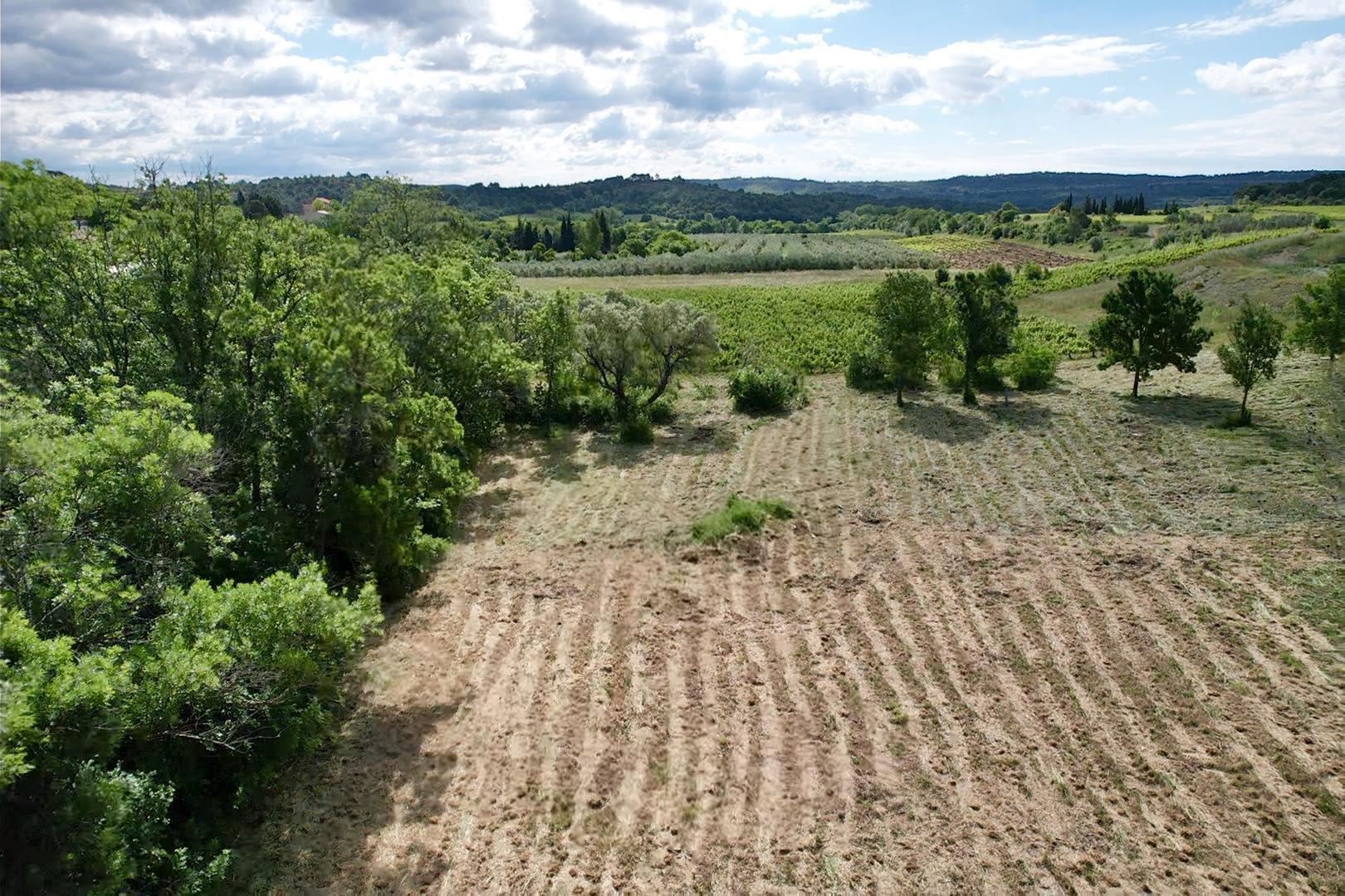 Purchase: Land (34360)