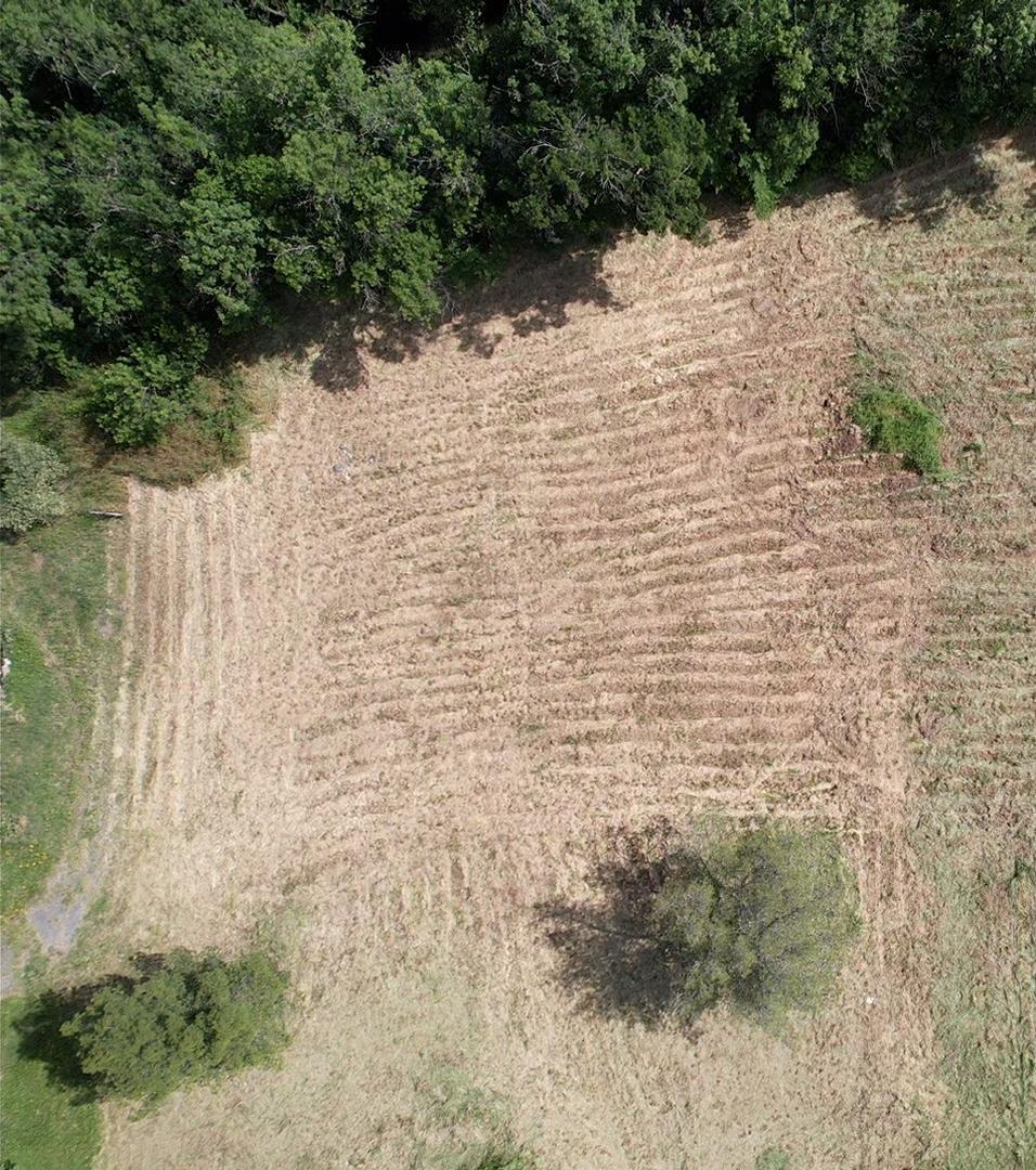 Purchase: Land (34360)