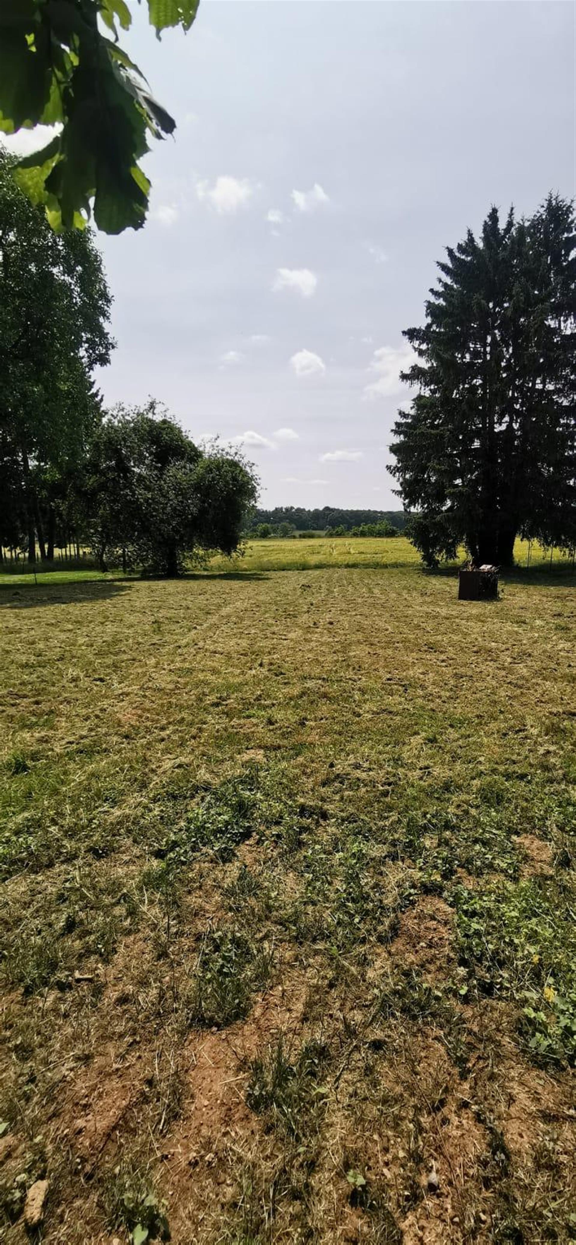 Purchase: Land (54300)