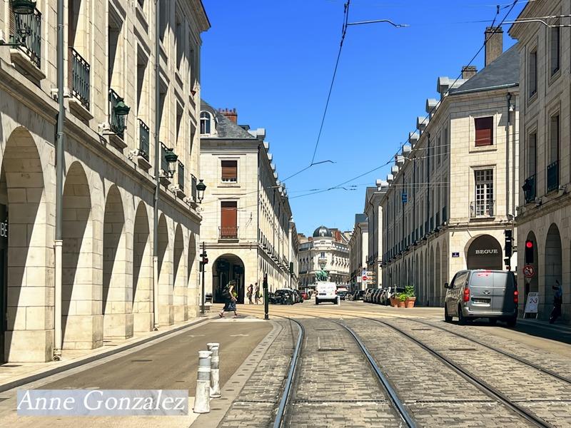 Orleans near rue Royale, for sale 4-room apartment to refresh in beautiful small joint ownership wit