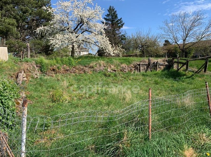 St Barthelemy Lestra (42). Maison de village de 56 M2 avec sa courrette et son terrain non attenant