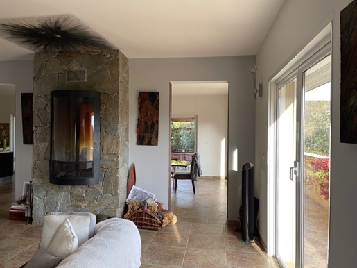Southern Corsica - Porticcio, Contemporary villa of 265 m2