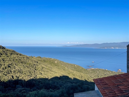 House for sale 3 rooms Belvedere Campomoro (20)