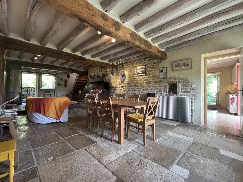 Semur-En-Auxois 20min:maison de caractère 200m²+gîte 42m²,9 pièces,5 chambres,terrain 6000m²,dépenda