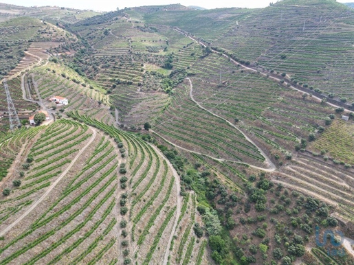 Property in Ervedosa do Douro with 99998,00 m²