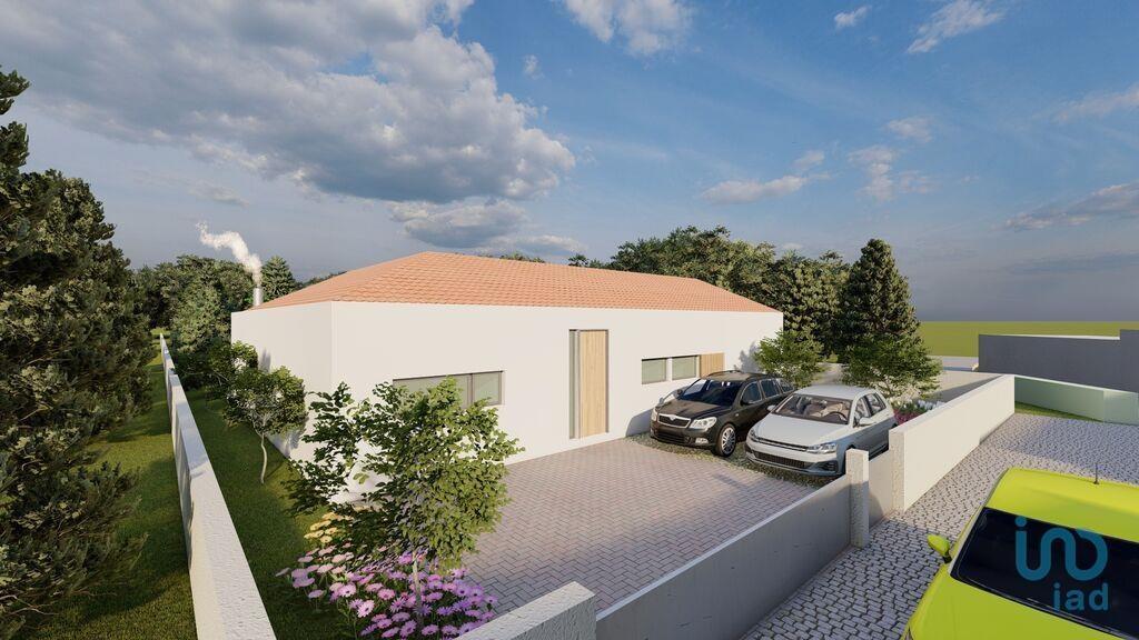 Boden in Vila Real, Vila Real