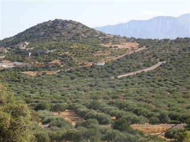 Zwei Grundstücke in Vathi, Agios Nikolaos.