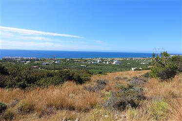  Parcelle 12,000m2 avec vue illimitée sur la mer à Koutsounari, Ierapetra