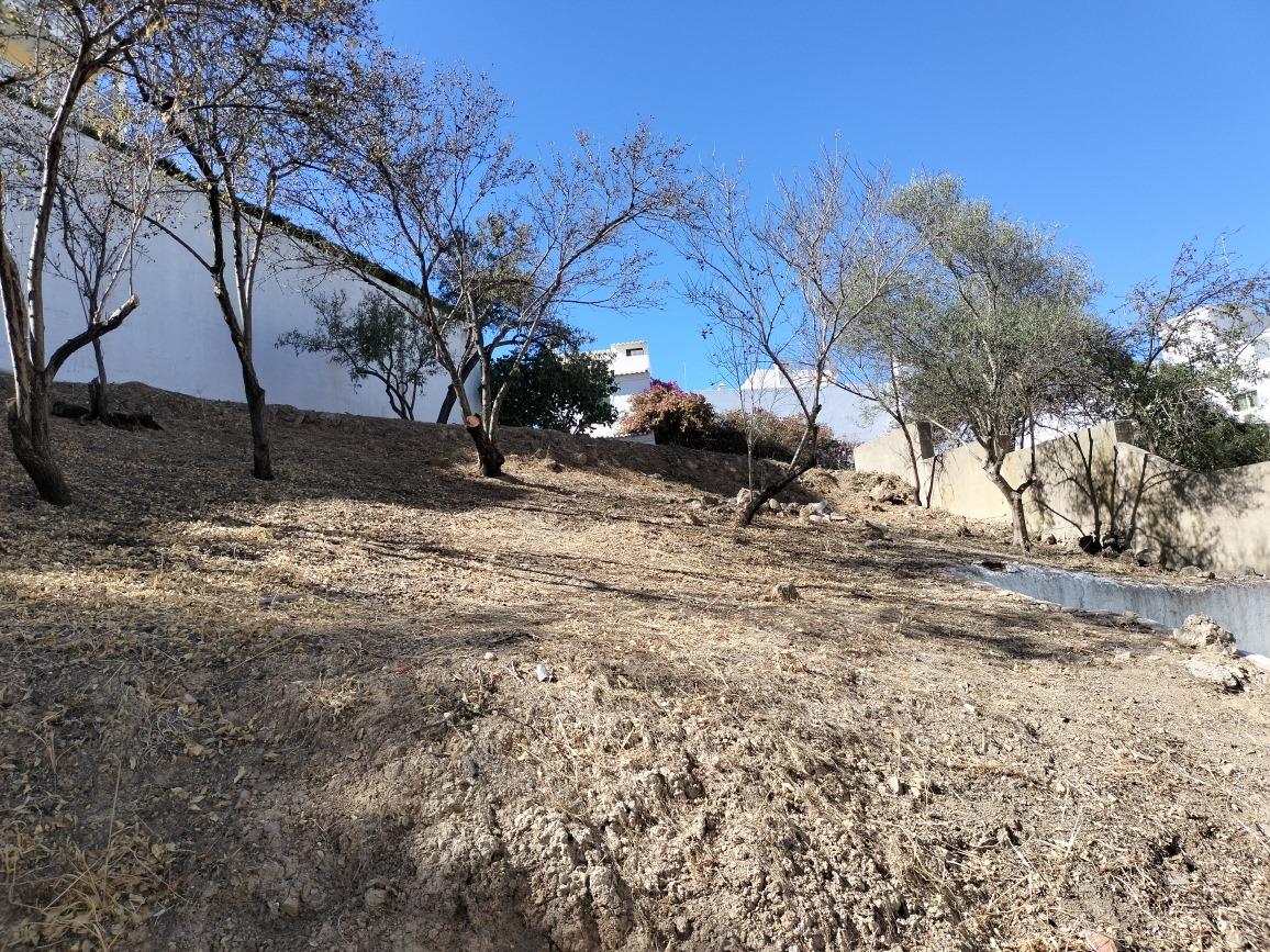 Land with ruin near Praia do Peneco 