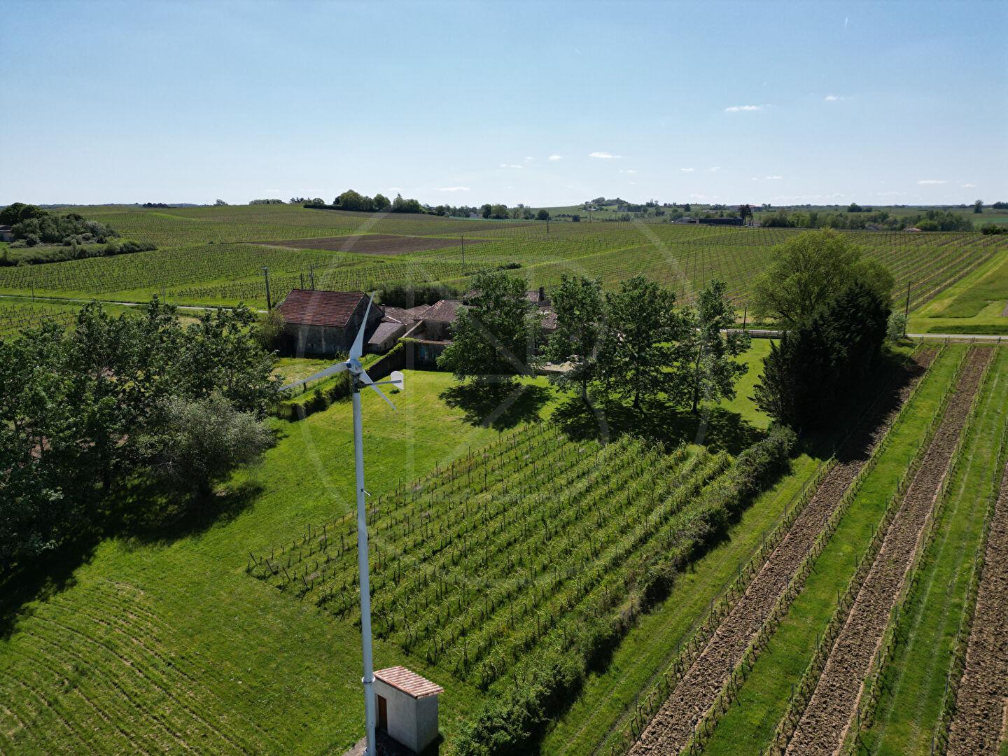 Propriété de charme aux vastes possibilités