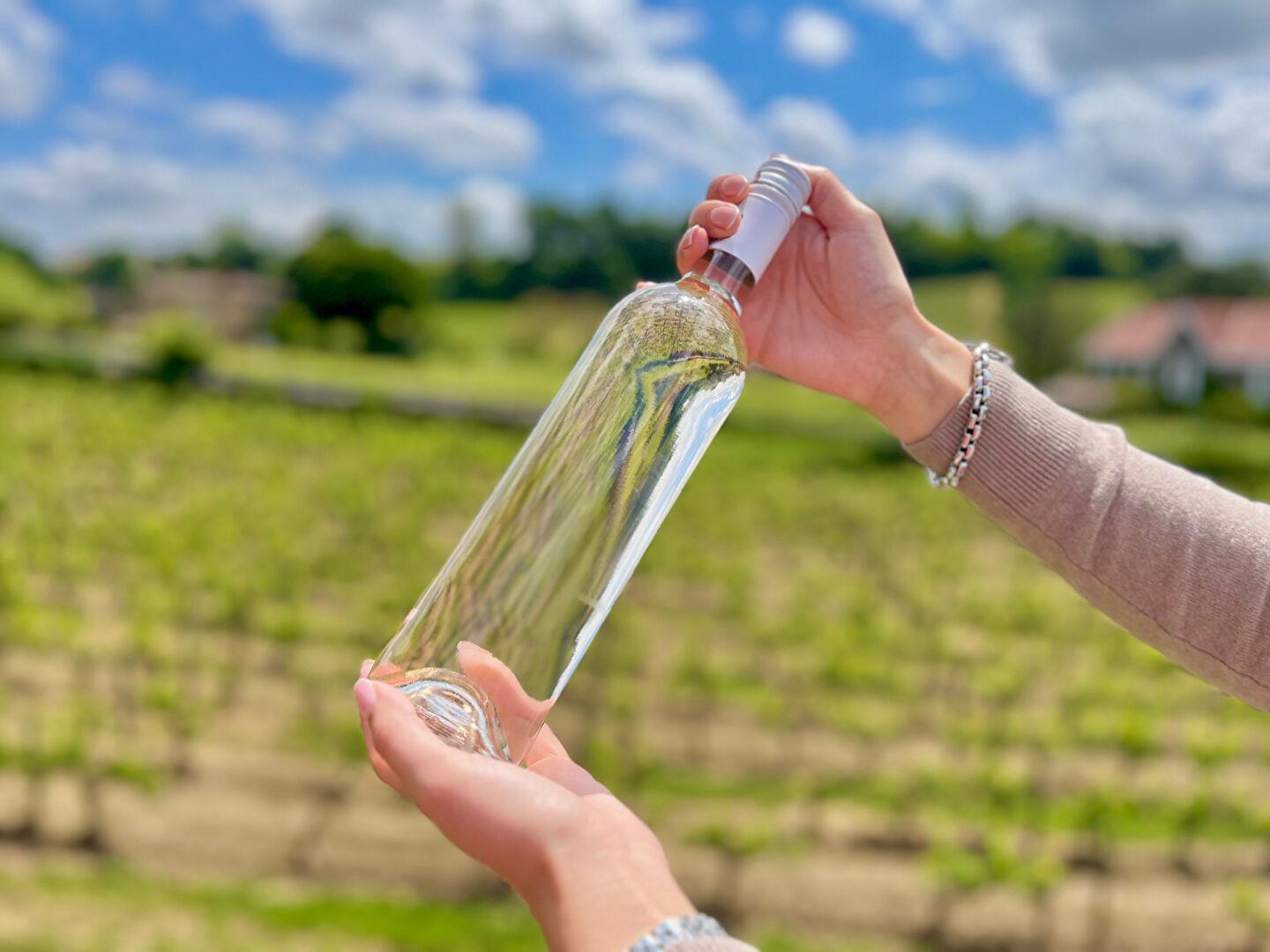 Aoc Bordeaux viñedo de más de 20 hectáreas
