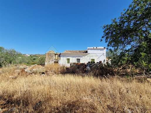 Excelente terreno suavemente inclinado com alfarrobas e oliveiras com ruína numa localização muito p