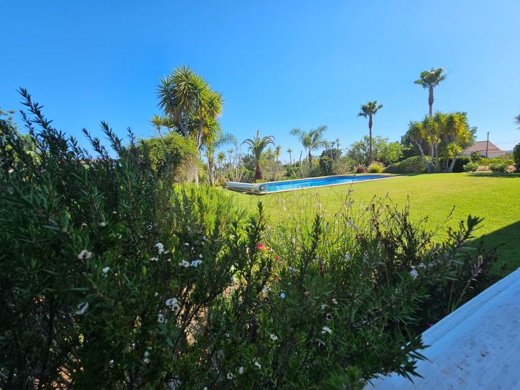 Beautiful 4 bedrooms villa with pool and big plot.