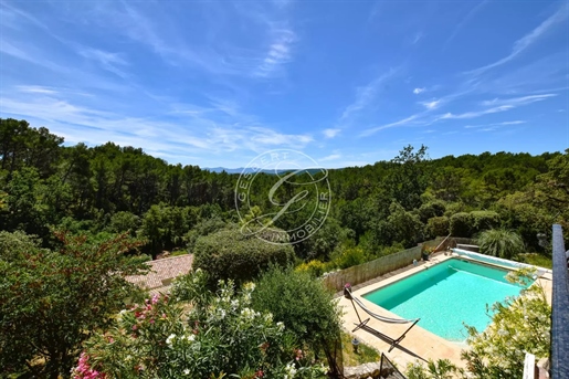 Flayosc - Magnificent property with panoramic view and independent gîte