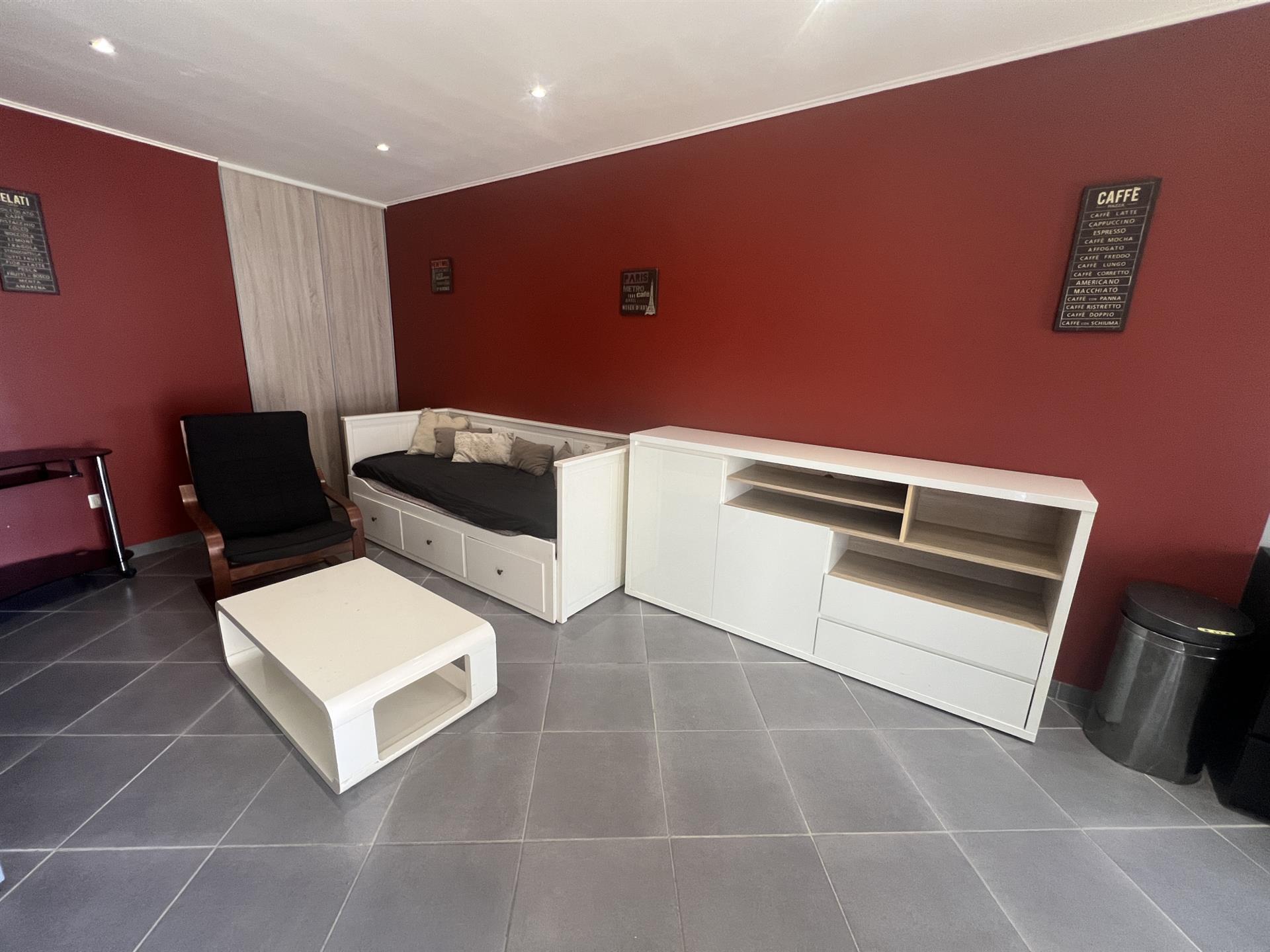 Saint-Etienne Bellevue Studio Meuble De 30m2