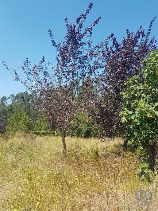 Terreno para construção em Barqueiros de 470,00 m²