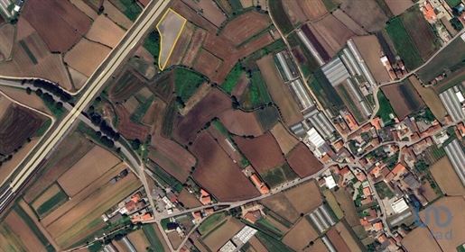 Agricultural Land in Braga with 3580,00 m²