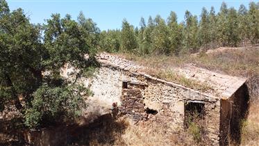 Propriété rurale isolée avec des ruines à Saboia - Odemira