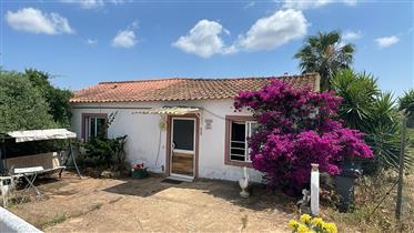 Rural Property  with 3,12  Ha , With House and Ruin - Portimão- Algarve