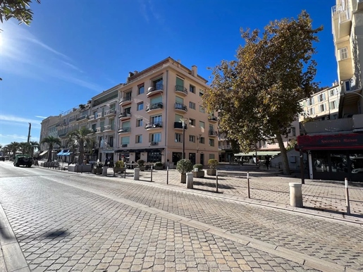 Cannes (Alpes-Maritimes)