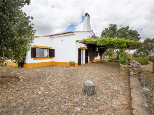 Farm of 9 ha in Mértola, district of Beja, Portugal